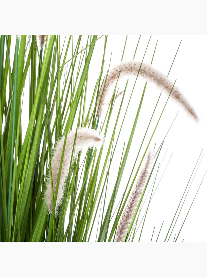 Herbe artificielle en pot aux queues de chat Vert - Kiabi