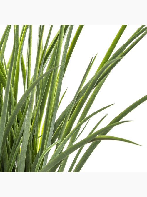 Herbe artificielle pot tressé MODA - Kiabi