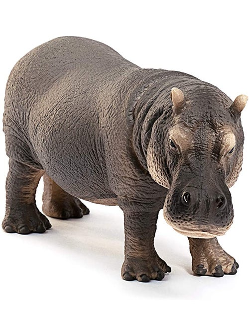 Hippopotame - Kiabi