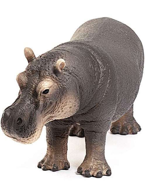 Hippopotame - Kiabi