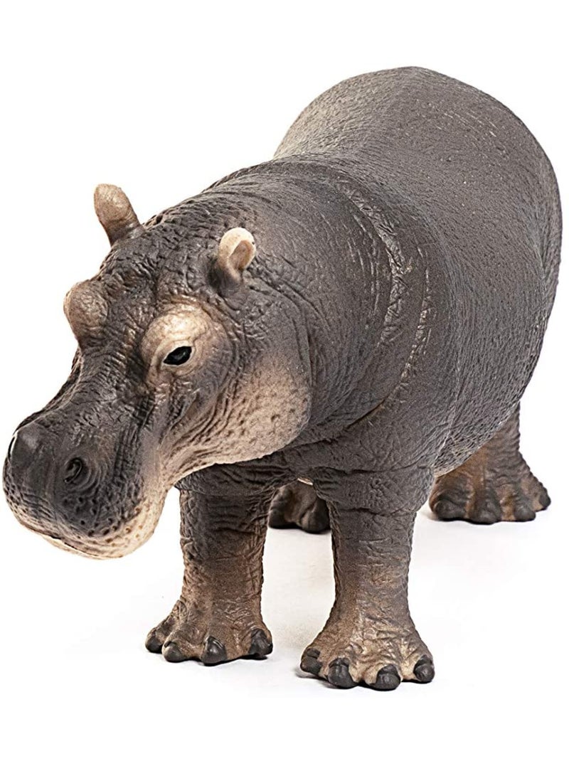 Hippopotame Gris - Kiabi