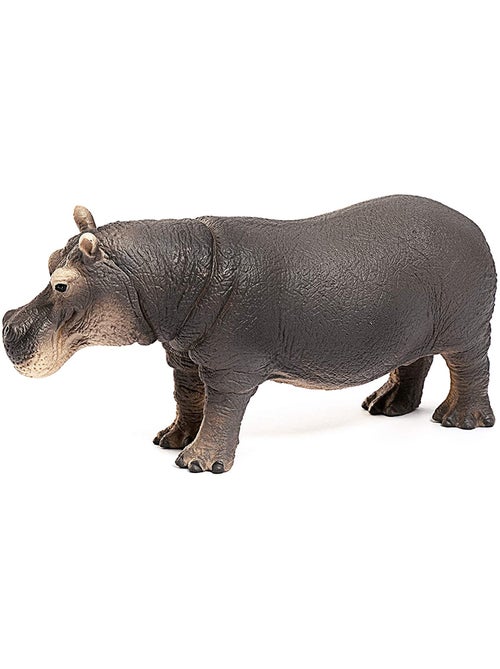 Hippopotame - Kiabi