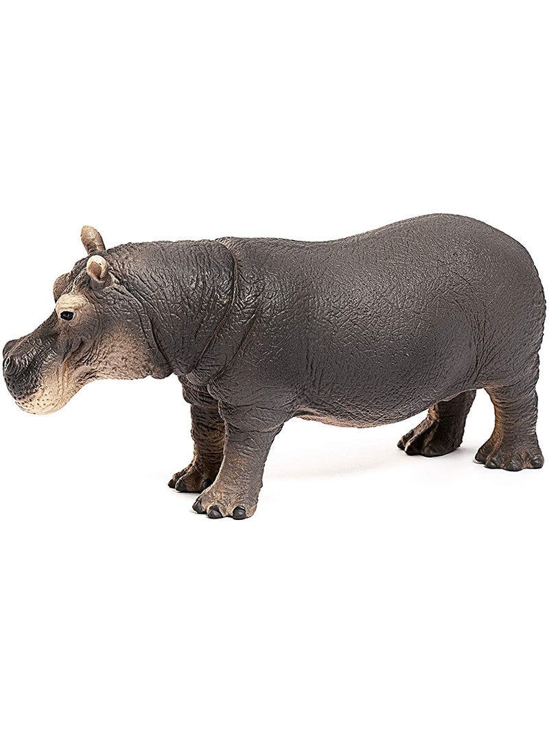 Hippopotame Gris - Kiabi