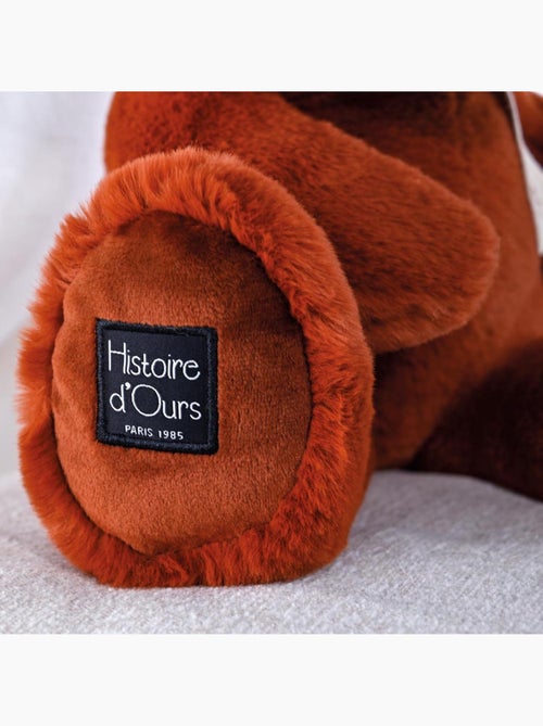 Histoire d'Ours - Peluche le Nounours - Kiabi
