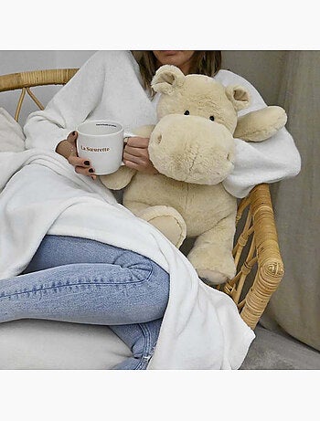 Histoire d'ours - peluche l'hippo