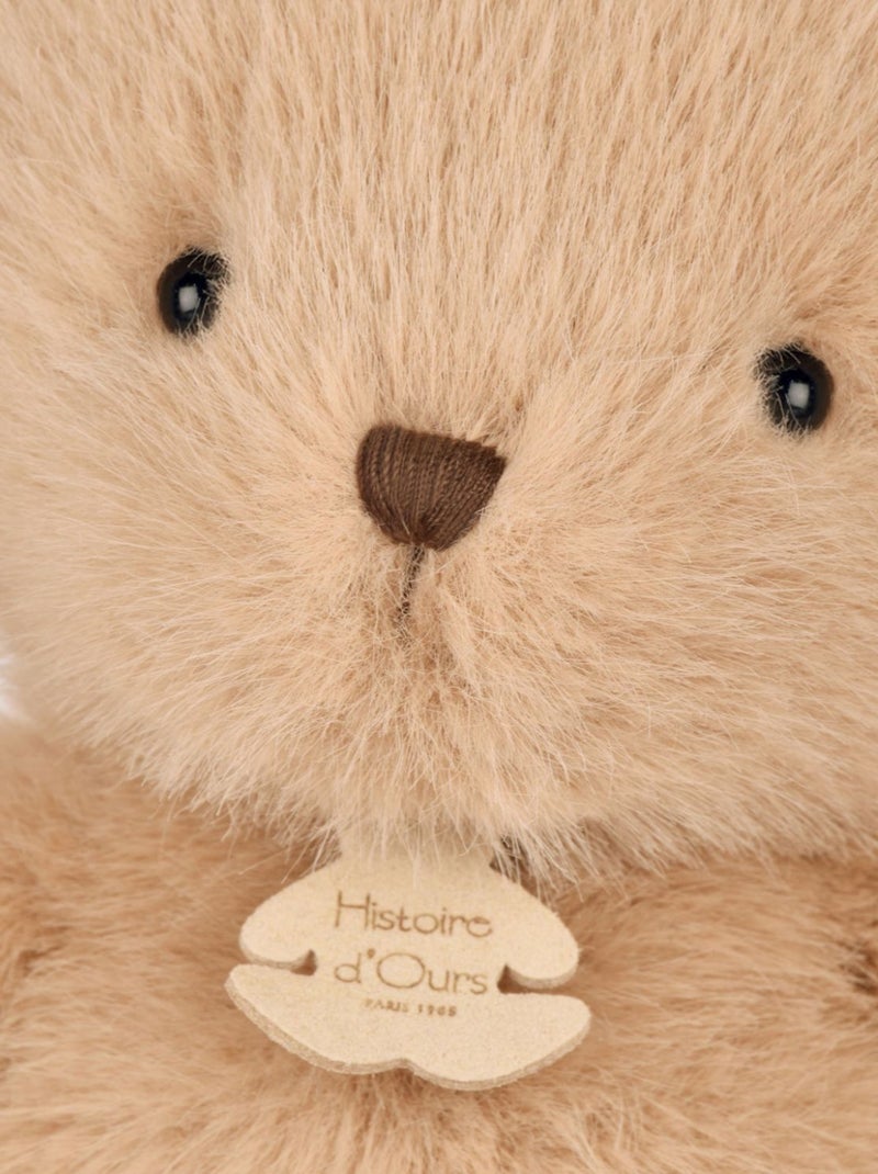 Histoire d'Ours - Peluche ours Gris - Kiabi