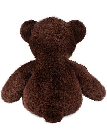 Histoire d'ours - peluche ours
