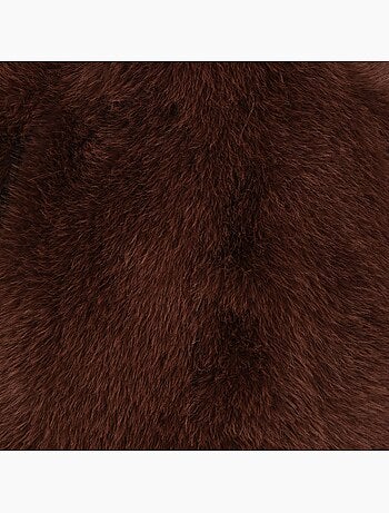 Histoire d'ours - peluche ours