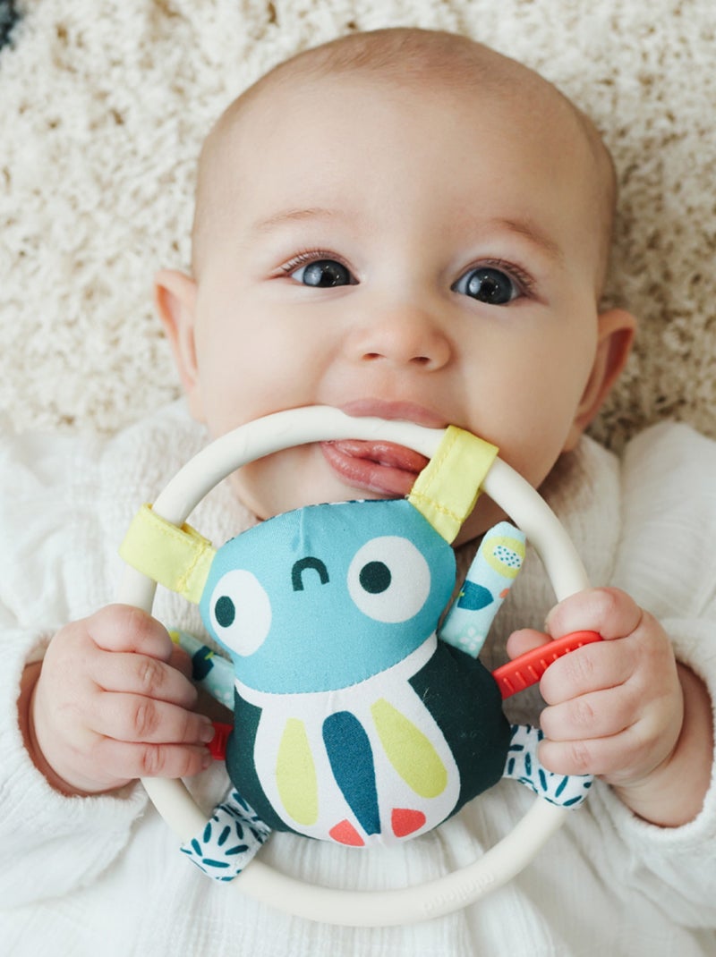 Hochet En Forme De Sympathique Araignée Pour Bébés Miniland Vert - Kiabi