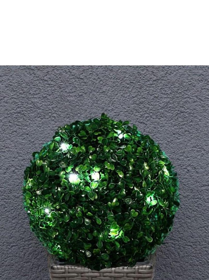 HOMEA - Petite boule de buis à planter leds piles - 25 cm Vert - Kiabi