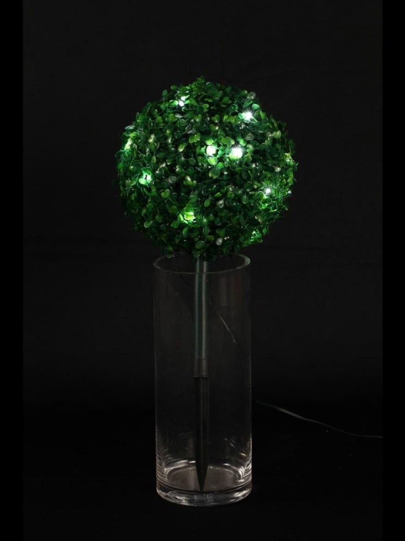 HOMEA - Petite boule de buis à planter leds piles - 25 cm Vert - Kiabi