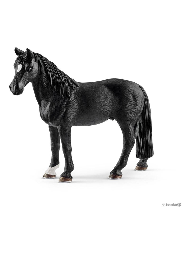 Hongre Tennessee Walker Noir - Kiabi
