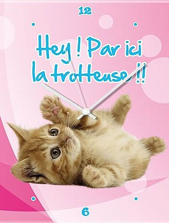 Horloge en verre chaton
