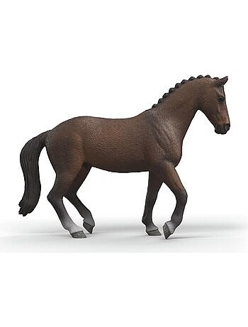Horse Club - Hongre KWPN de Sang Chaud néerlandais