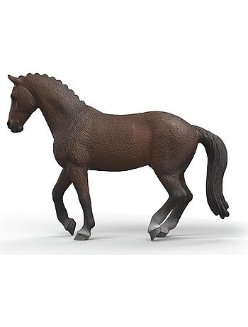 Horse Club - Hongre KWPN de Sang Chaud néerlandais