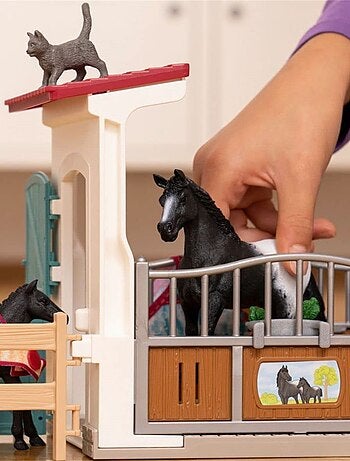 Horse Club Box à cheval avec Jument et Poulain