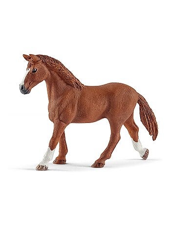 Horse Club chevaux invités d'Hannah avec chienne Ruby