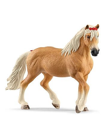 Horse Club Jument Haflinger