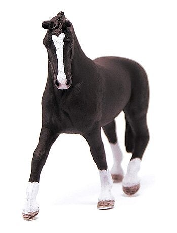 Horse Club Jument Hanovre morelle
