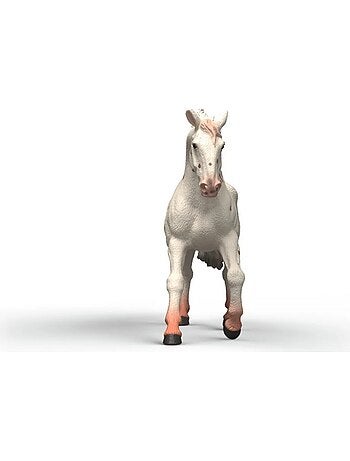 Horse Club Jument Knabstrupper