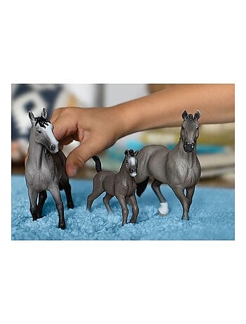 Horse Club Jument Selle Français