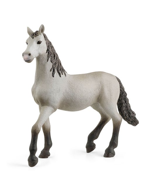 Horse Club Poulain Pure race espagnole - Kiabi