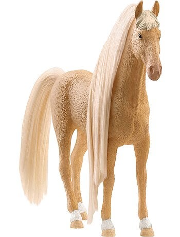 Horse Club Studio de beauté Sofia's Beauties