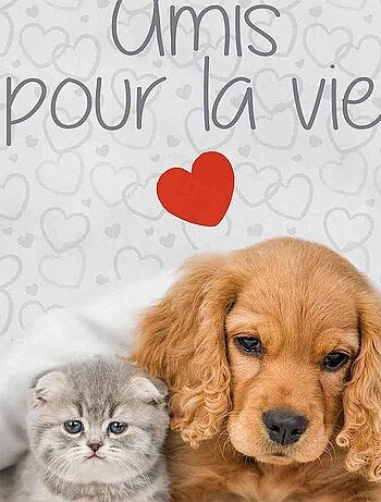 Housse bouillotte polaire 21x34 cm mignon amis pour la vie