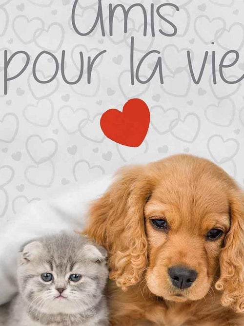 Housse bouillotte polaire 21x34 cm mignon amis pour la vie - Kiabi