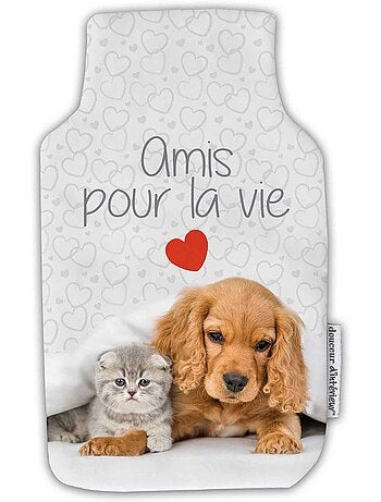 Housse de bouillotte amis pour la vie