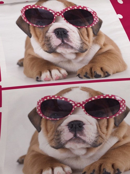 Housse de couette 200x200 Sun Dog + 2 taies coton 52 fils - Kiabi