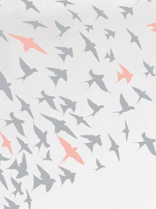Housse de couette 240x220 Bird + 2 taies coton 57 fils - Kiabi