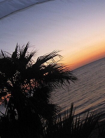 Housse de couette 240x220 Dolce vita + 2 taies coton 52 fils