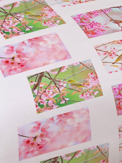 Housse de couette 240x220 Oiseau + 2 taies - Kiabi