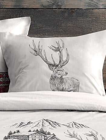Housse de couette BAUGES + 2 taies coton 57 fils