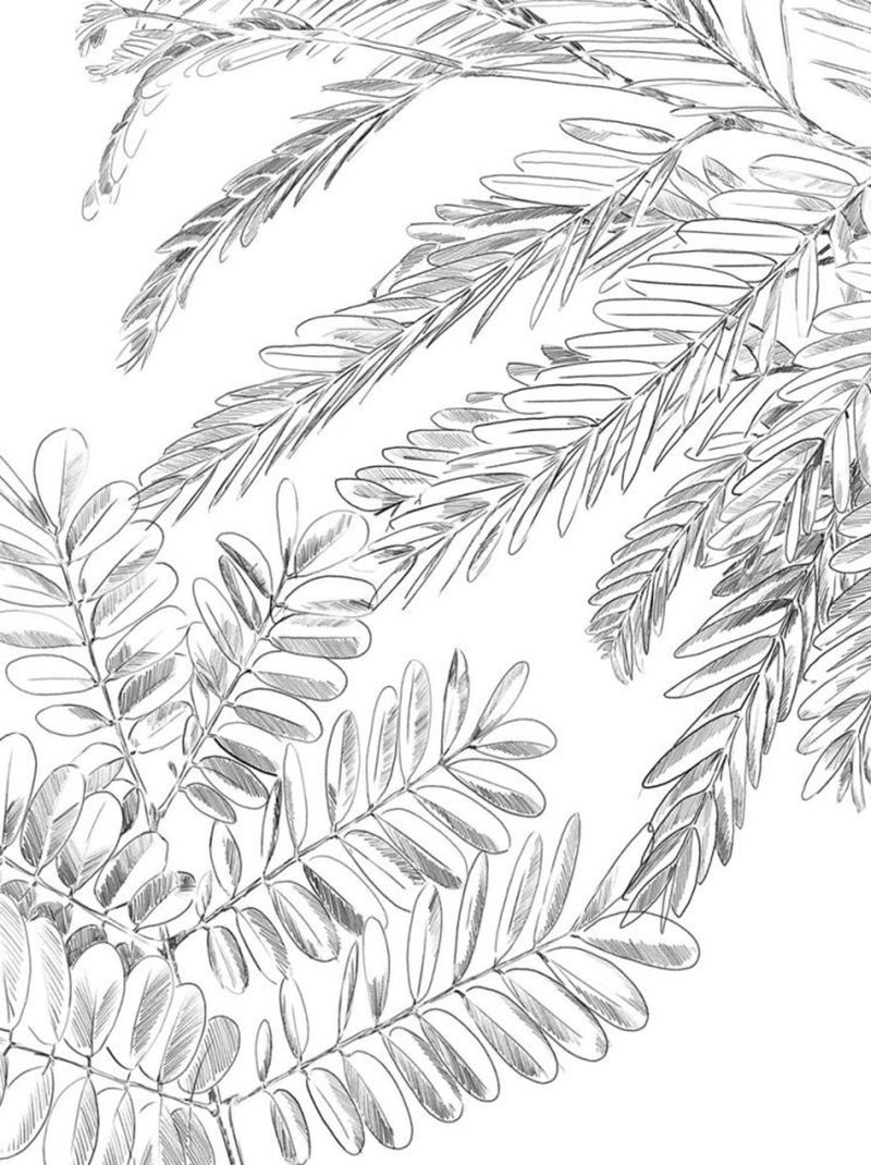 Housse de couette  Monstera + taie(s) 100% coton 57 fils Blanc - Kiabi