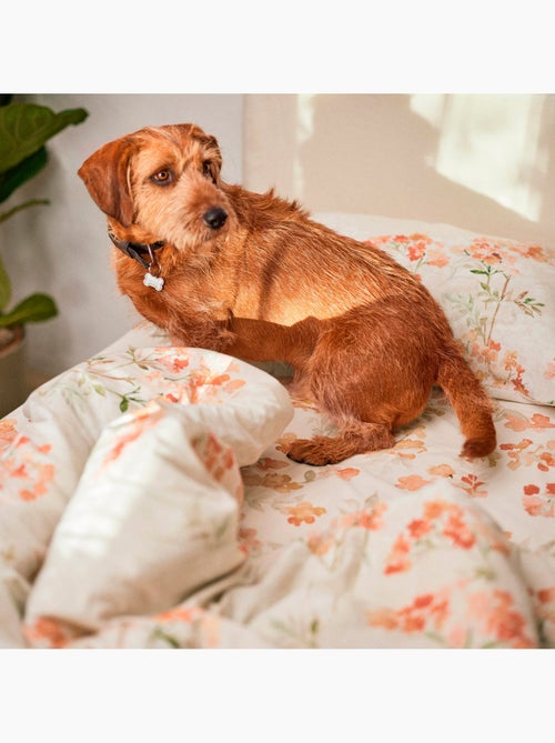 Housse de couette Riomaggiore "Happyfriday" - Kiabi