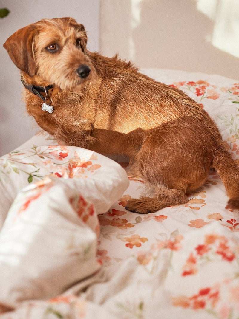 Housse de couette Riomaggiore "Happyfriday" Blanc - Kiabi