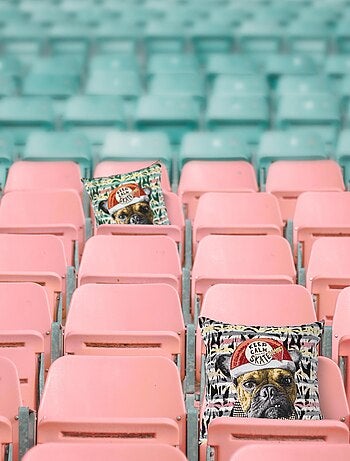 Housse de coussin SKATER