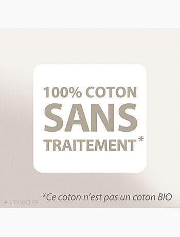 Housse de Protection d'oreiller AUBIN coton gratté 2 faces 220g/m²