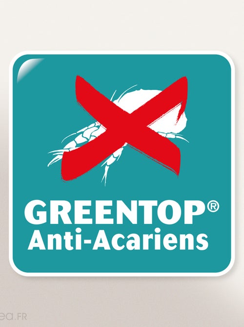 Housse de protection oreiller ANTONIN - Kiabi