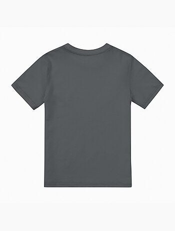 Hulk - T-shirt REACH (Hulk)