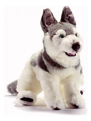 Husky 42cm