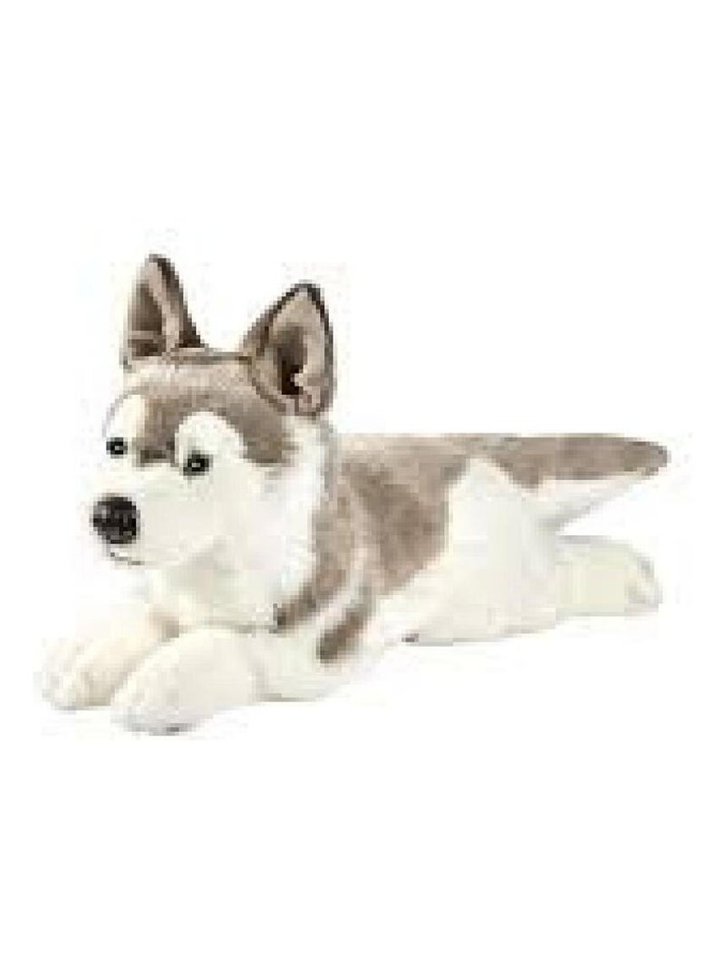 Husky 42cm Noir - Kiabi