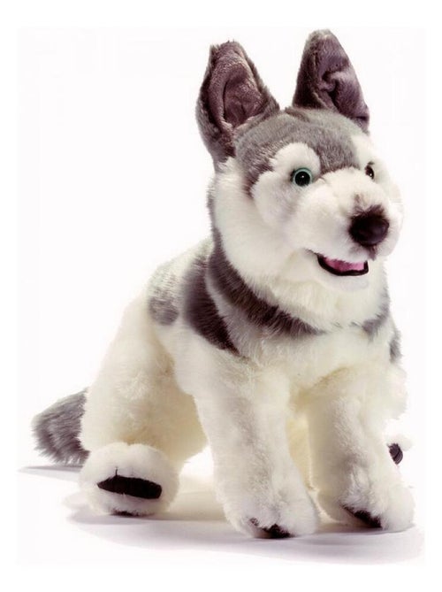 Husky 42cm - Kiabi
