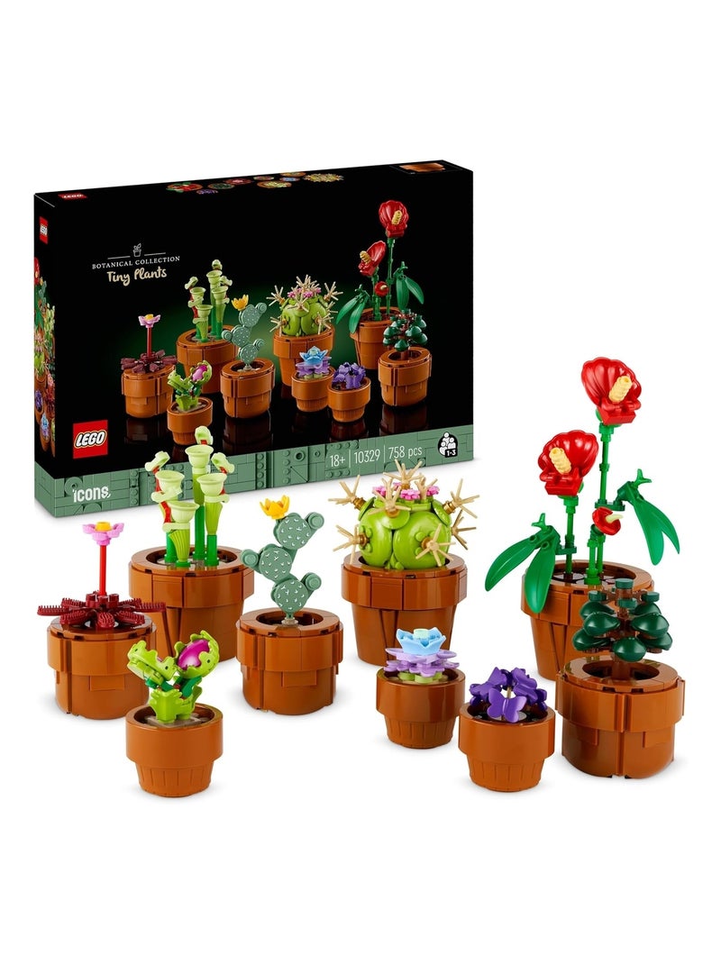 Icons - Les plantes miniatures, set sollection botanique avec fleurs artificielles Multicolore - Kiabi
