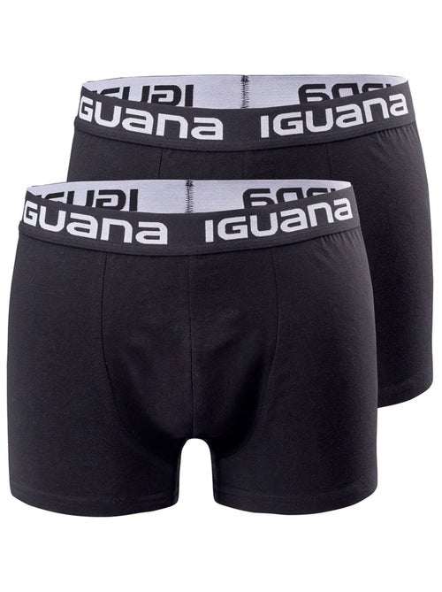 Iguana - Boxers MELVO - Kiabi