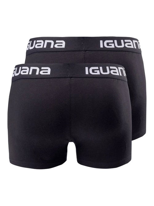Iguana - Boxers MELVO - Kiabi