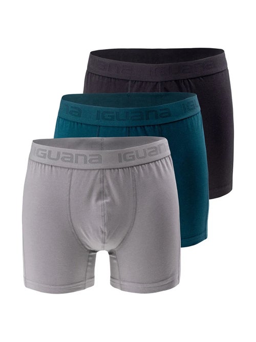Iguana - Boxers PRESTO - Kiabi