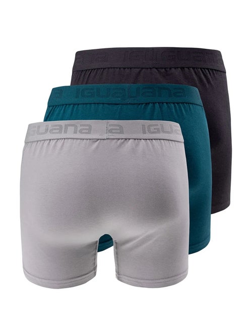Iguana - Boxers PRESTO - Kiabi